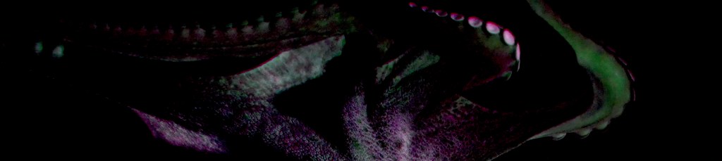 The Call – New Web Fiction by Dustyn&nbsp;McCormick